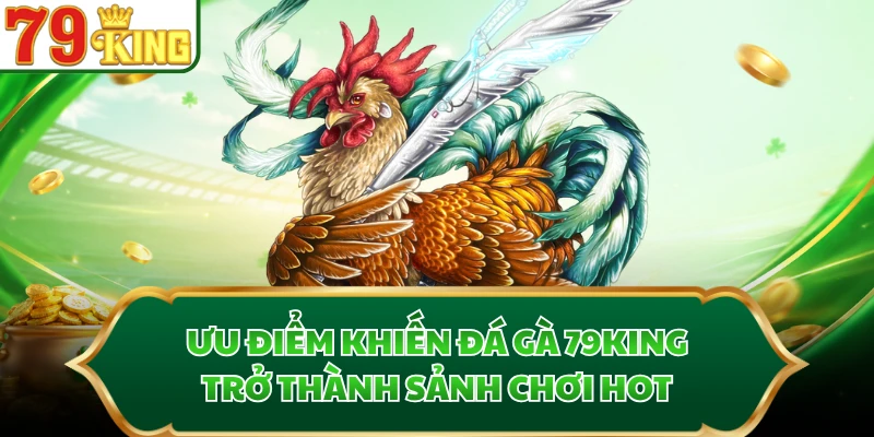 Ưu điểm khiến đá gà 79KING trở thành sảnh chơi hot